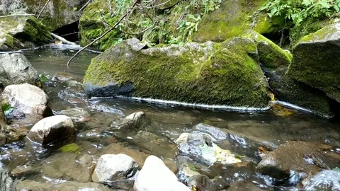 Pure water. Mountain river. 動画素材 99337841