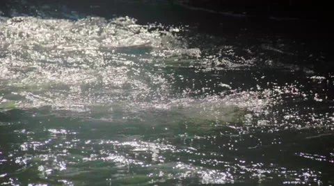 Pure water river Stock Footage 57474854