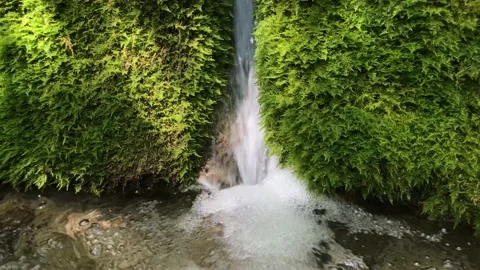Pure water of small mountain stream waterfall Stock-Footage 197592699