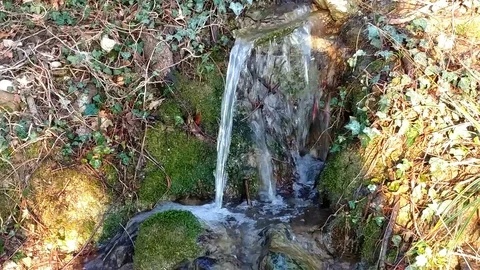 Pure water from spring Stock Footage 92186347
