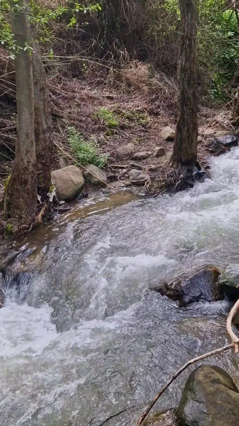 Pure water stream over rocky mountain terrain in kakopetria, Troodos, Cyprus. Stock Footage 332556535