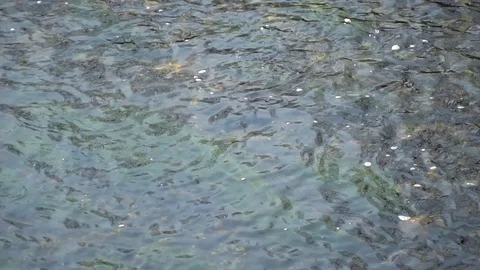 Pure water surface of river with sun beam reflection, tranquility scene good for Stock Footage 89579688