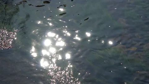 Pure water surface of river with sun beam reflection, tranquility scene good for Stock Footage 89580186