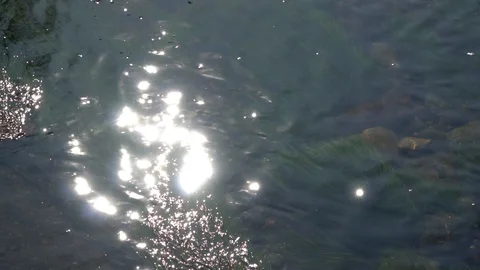 Pure water surface of river with sun beam reflection, tranquility scene good for Stock Footage 89659872