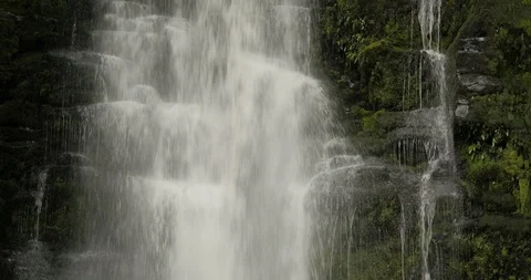 Pure white water cascading down mossy covered rocks Stock Footage 120432019
