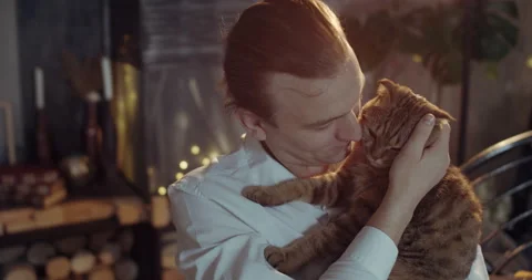 The purebred cat is held in the arms of its owner by a man. Stock Footage 138640102