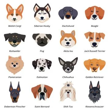 Purebred Dogs Faces Icon Set Stock Illustration