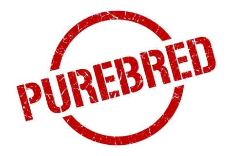 Purebred stamp Stock Illustration