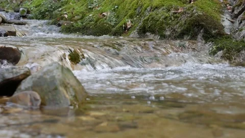 Purest mountain creek in the forest. Stream of water moves between the stones Stock Footage 149486979