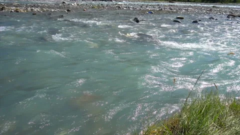 The purest mountain river Stock Footage 94130804
