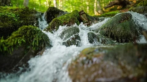 Purest mountain river in the forest. Stream of water moves between the stones 스톡 동영상 143496098