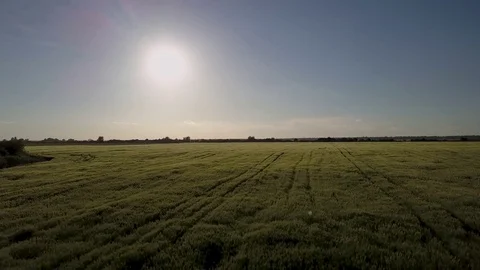 Purgatory Stock Footage 83181034