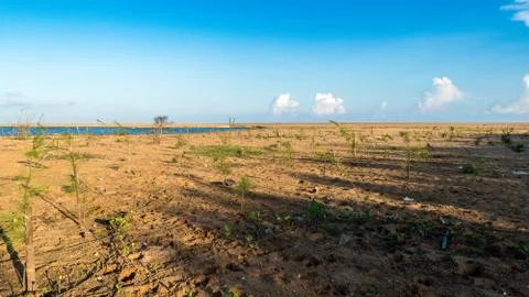 Puri beach. Stock Photos