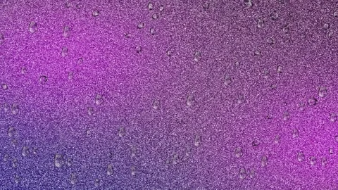 Puri Stock Footage 143596288