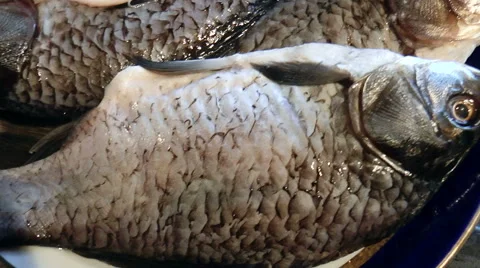 Purified fresh fish 動画素材 43364129