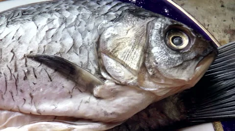 Purified fresh fish Stock Footage 43364407