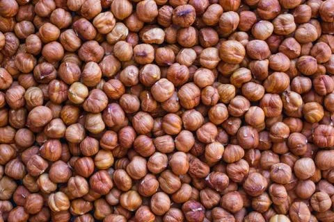 Purified hazelnut. Stock Photos