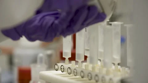 Puring granules into test tubes in professional lab Stock Footage 317298488