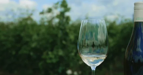 Puring Wine into Glass CLose Up 8K Red Vídeo Stock 135621096