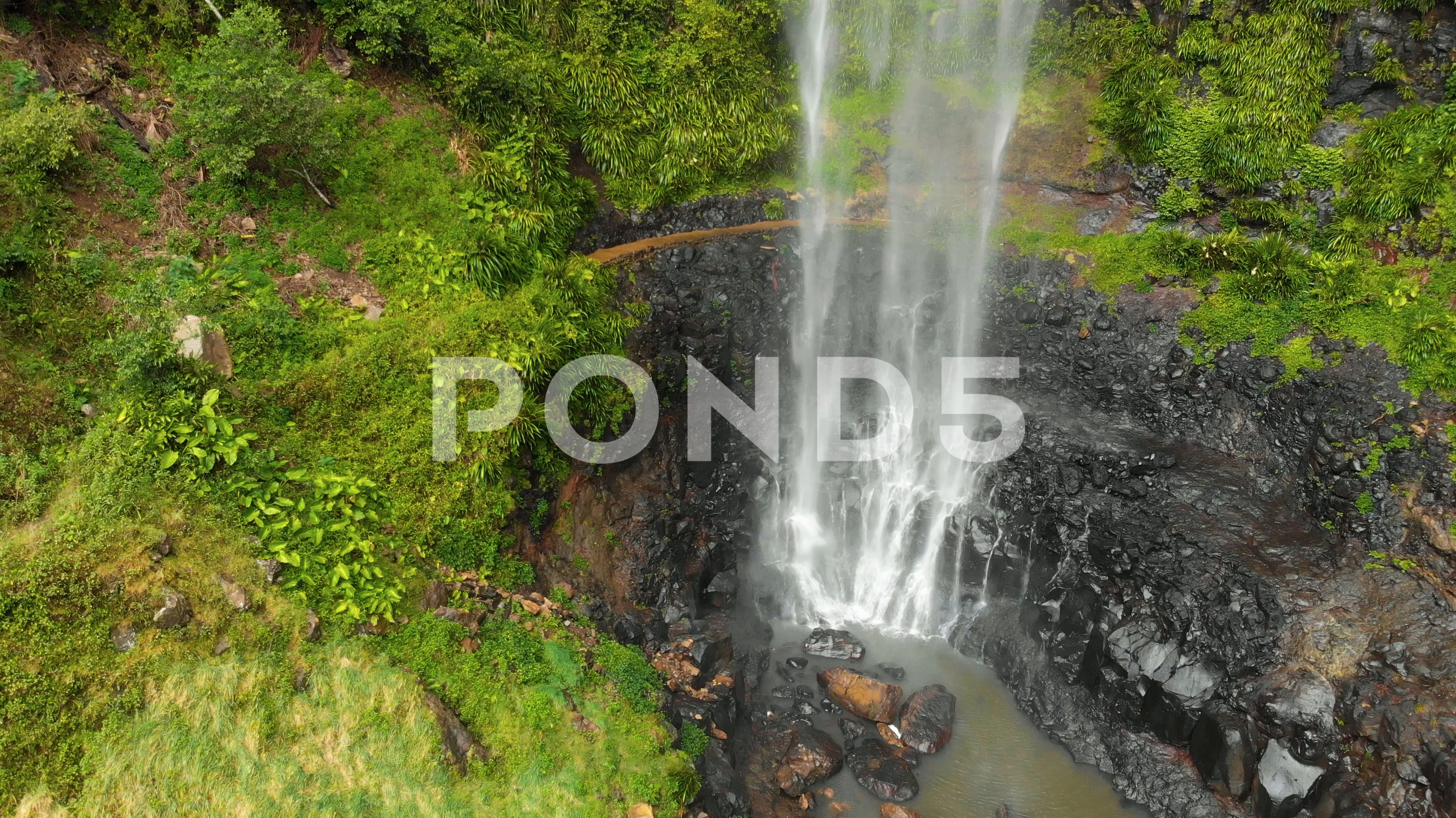 Purling Brook Falls In Springbrook National Park Australia