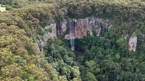 Purling Brook Falls,  Springbrook National Park, Queensland, Australia Stock Footage 310021958