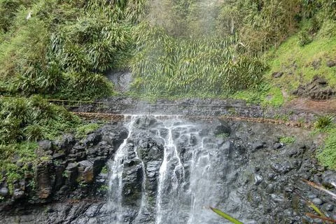 Purling Brook Falls - Springbrook Stock Photos