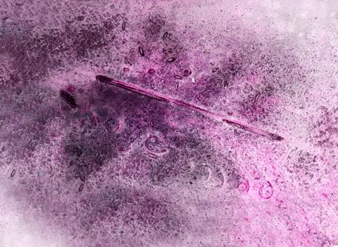 Purple abstract background Stock Photos