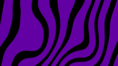 Purple Abstract Wavy Lines Background Stock Footage 314428054