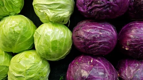 Purple and Green Cabbage Stock Footage 102328907