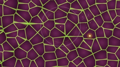 Purple and Green Network Pattern Background. Stock Footage 329928821