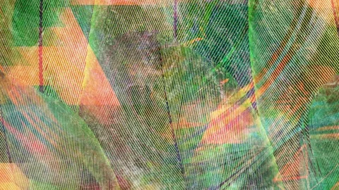 Purple and Green Texture Composed of Many Thin Lines Creates Magic Stock Footage 113143300