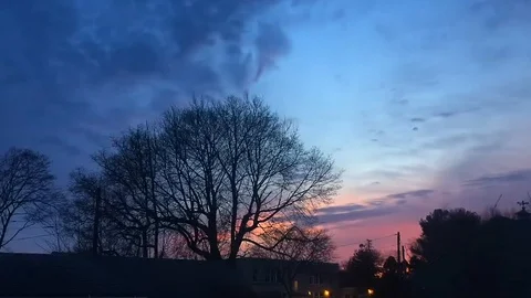 Purple and Pink Bare Tree Sunset Time Lape Stock Footage 106422507