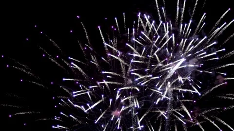 Purple and white fireworks explode in dark night sky Stock Footage 329675933