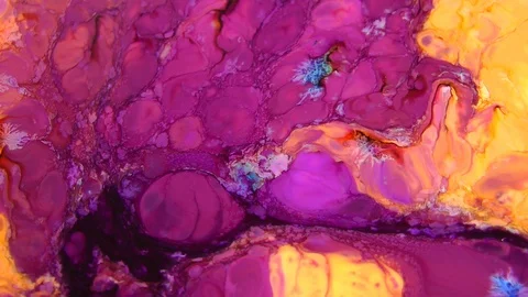Purple and Yellow Paint Stock Footage 101670078