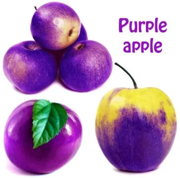 Purple apple Stock Photos
