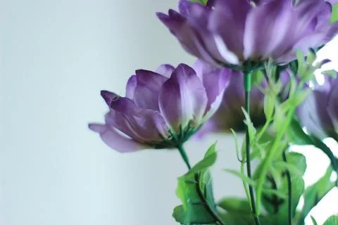 Purple artificial flower Stock Photos