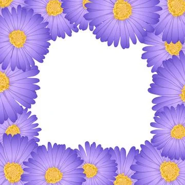Purple Aster, Daisy Flower Border2 Illustrazione stock