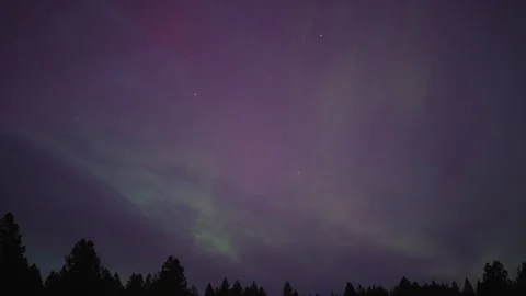 Purple auroras over alpine forest Stock-Footage 287880888