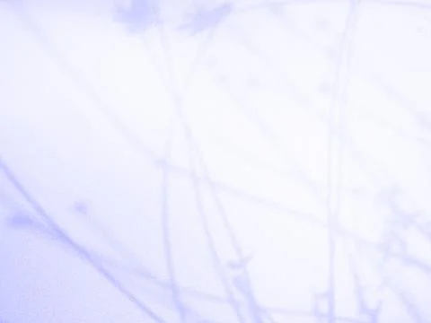Purple Background Abstract Backdrop Gradient blur Texture Floor Wall Stock-Fotos