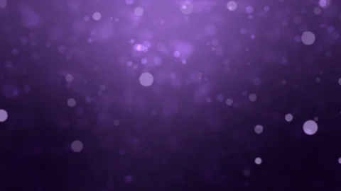 Purple background with floating particles Stock Footage 204819014