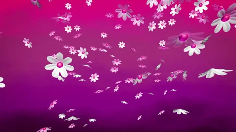 Purple background - flowers Stock Footage 34423038