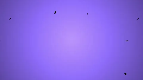 Purple background with flying insects. Stock Footage 340040262