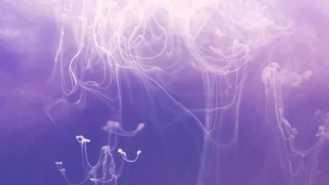 Purple background Video stock 269159663