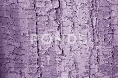Purple background of old paint Stock Photos