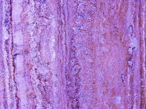 Purple background with vertical pattern. An old, worn purple wall.  Stock Photos