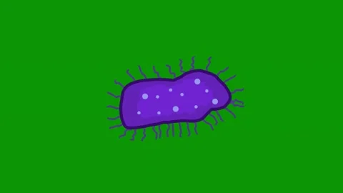 Purple bacteria green background bug green screen animated chromakey background Stock Footage 314067312