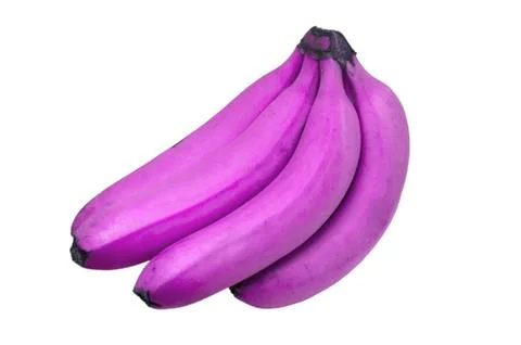 Purple Banana Bunch Stock Photos