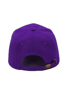 Purple baseball cap back view Stock Photos