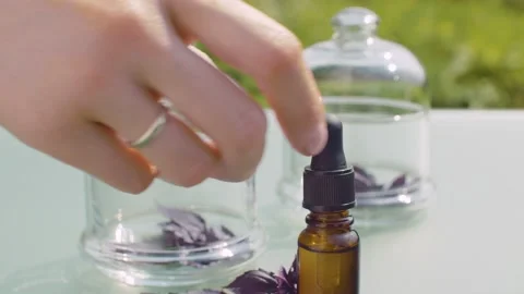 Purple basil leaves and essential oil Stock Footage 137250722