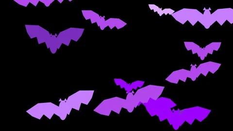Purple bats flying in night sky animation, Halloween graphic resource, spoo.. Vídeo Stock 345845660
